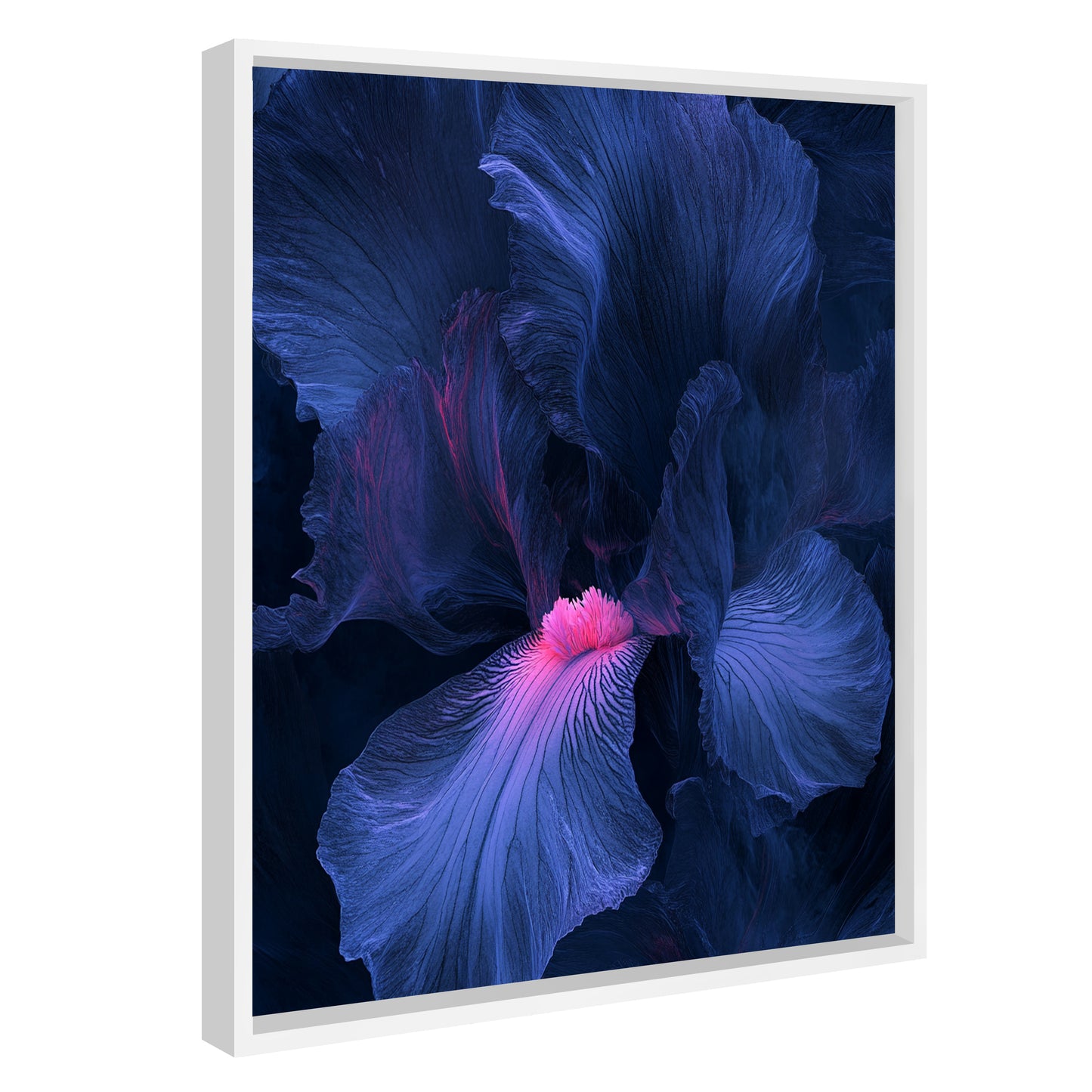 Blue Iris