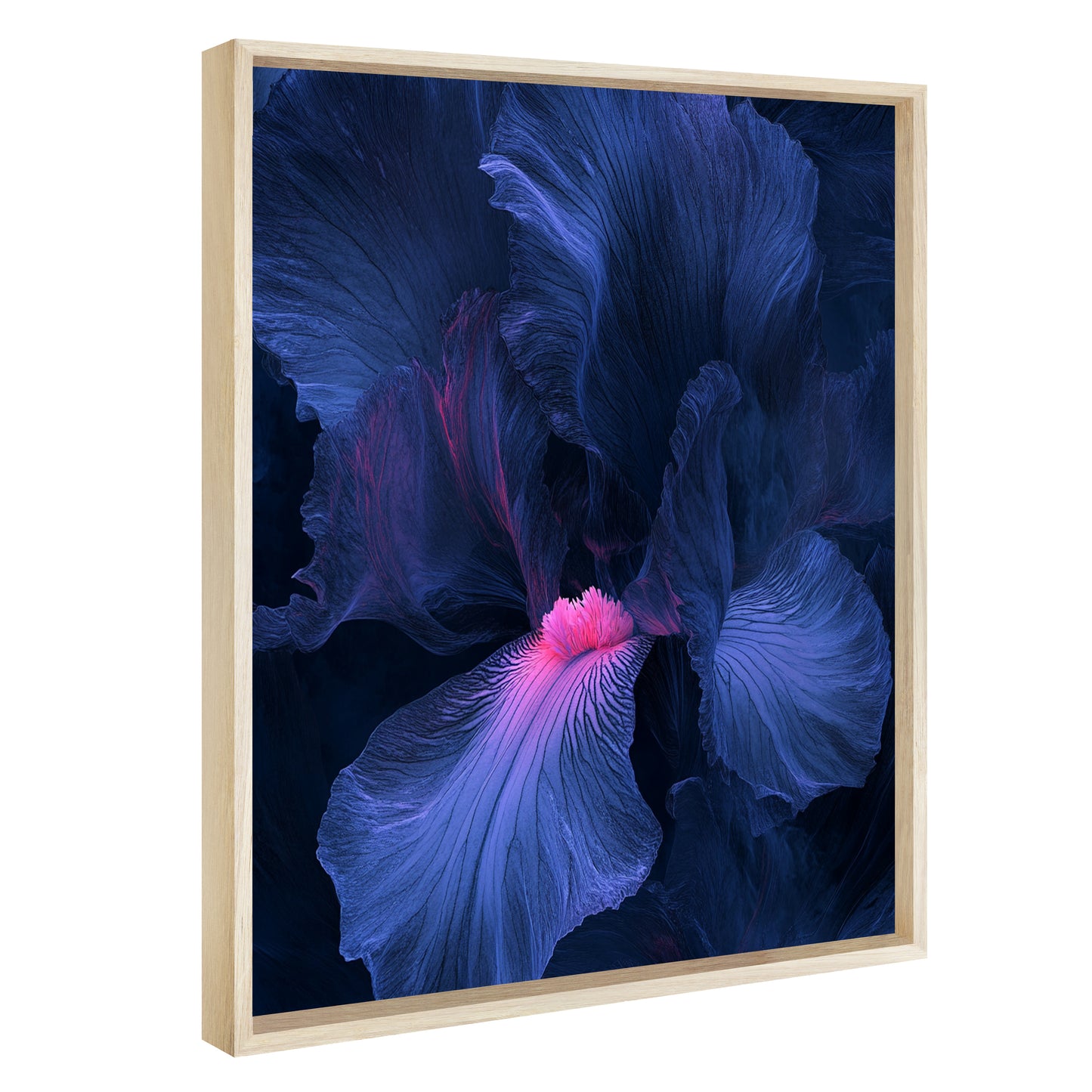 Blue Iris