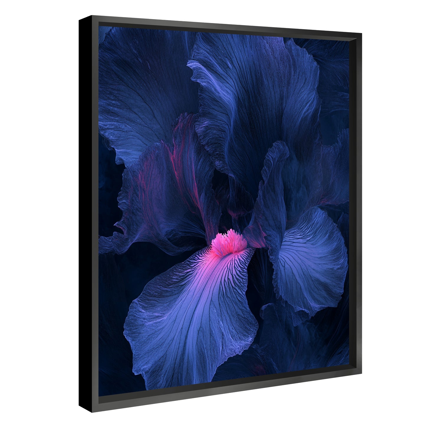 Blue Iris
