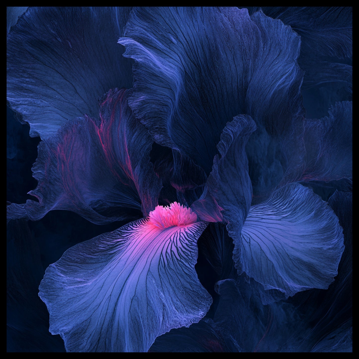 Blue Iris