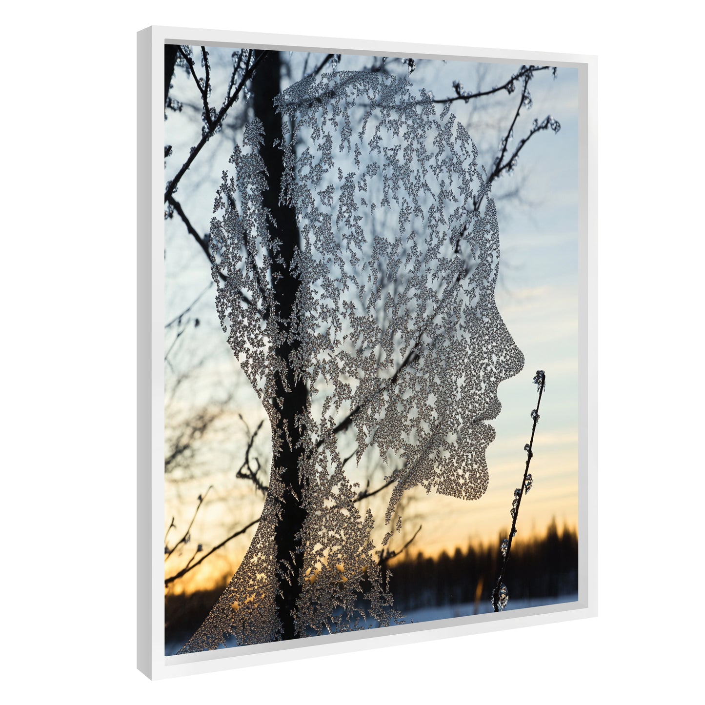 Nature Spirit