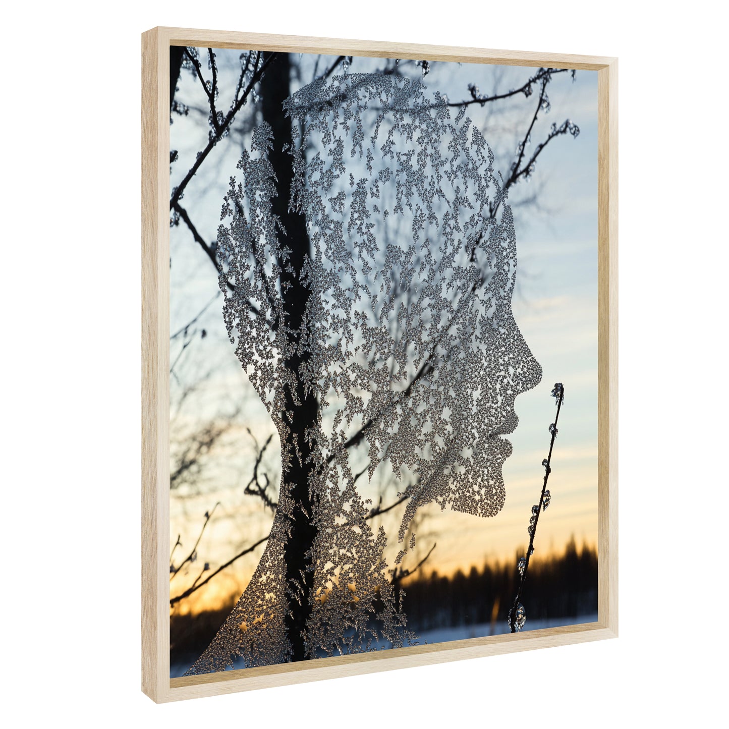 Nature Spirit